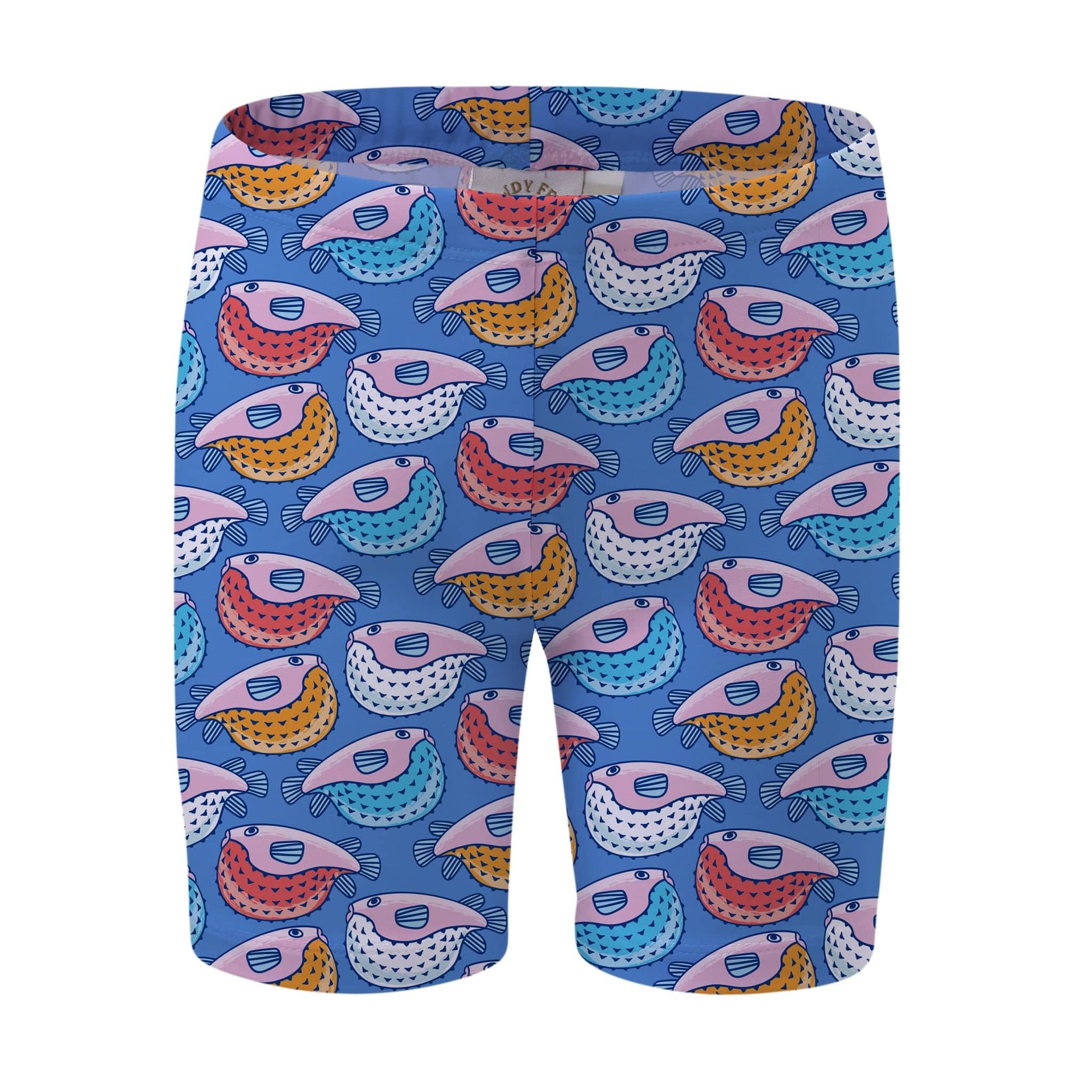 Sandy Feet Australia Swim Shorts Fugu Rainbow LONG Swim Shorts